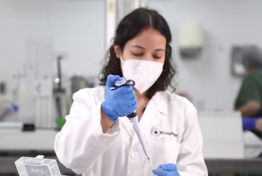 Get to know Bluephage