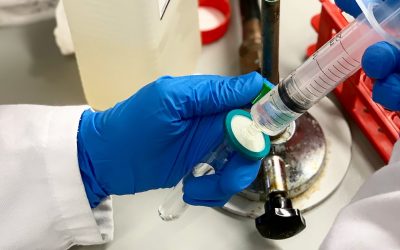 Water filters and virus