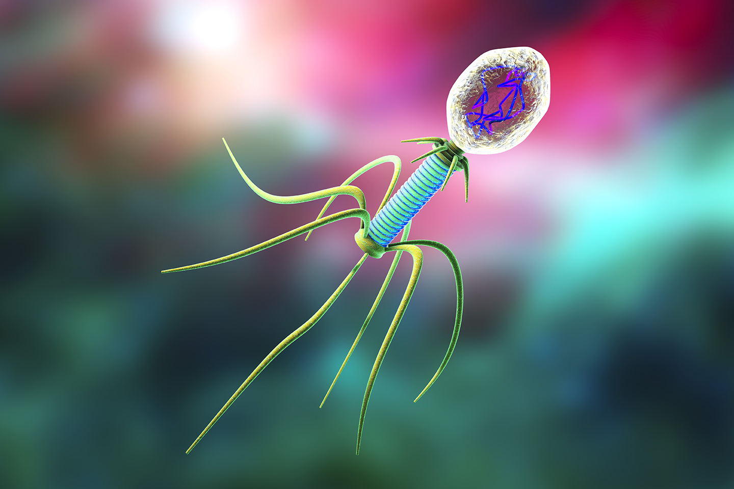 WEB_shutterstock_490265755 coliphage_surfacewater_bluephage