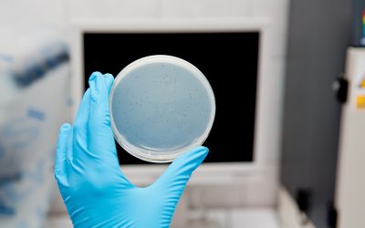 Are coliphages pathogenic?