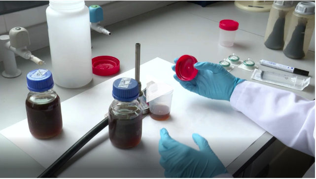 Captura de pantalla 2021-06-28 a las 12.46.12 Video_Sludge_coliphages_detection