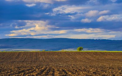 First regulation in a European Member State requesting to measure somatic coliphages in sludge treatment