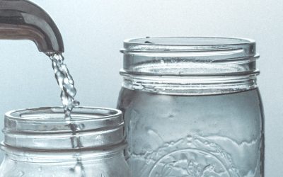 Why does WHO recommend testing for coliphages to ensure water quality?