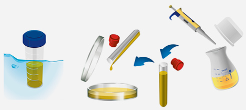 ISO Easy Kit & Material | BP 1601 Application ISO Easy Kit & Material | BP 1601 Application