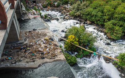 How to quickly, effectively, and safely control fecal contamination in water