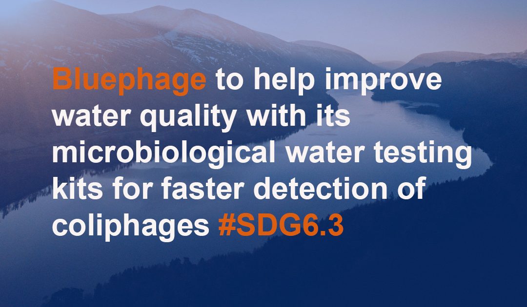 Bluephage plays an essential role in the water consumption cycle providing quick, safe, and efficient information on viral water contamination