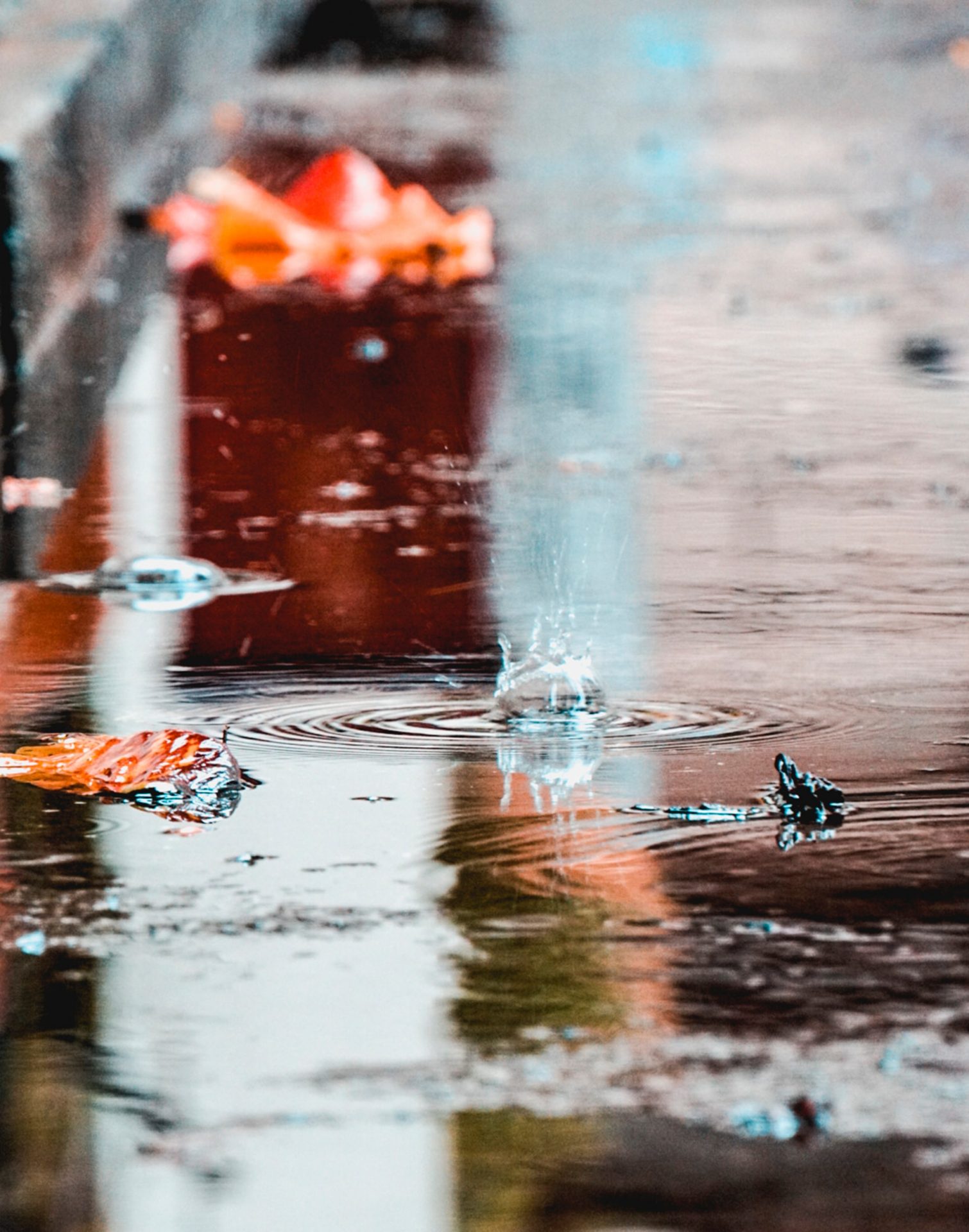 vishal-joshi-tMOjEPs3oTM-unsplash Rainfall_Bluephage