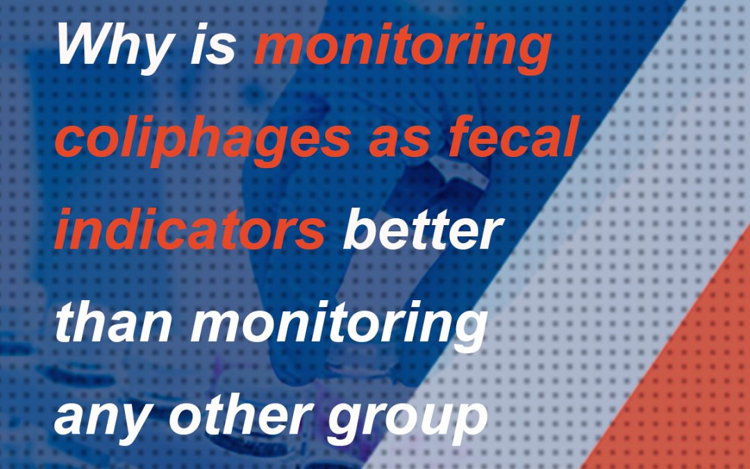 Five main reasons justify the effectiveness of working with coliphages in the laboratory for regular microbiological water testing