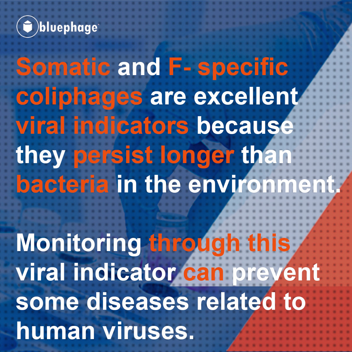 Why_Coli_1 Why Coliphages_1