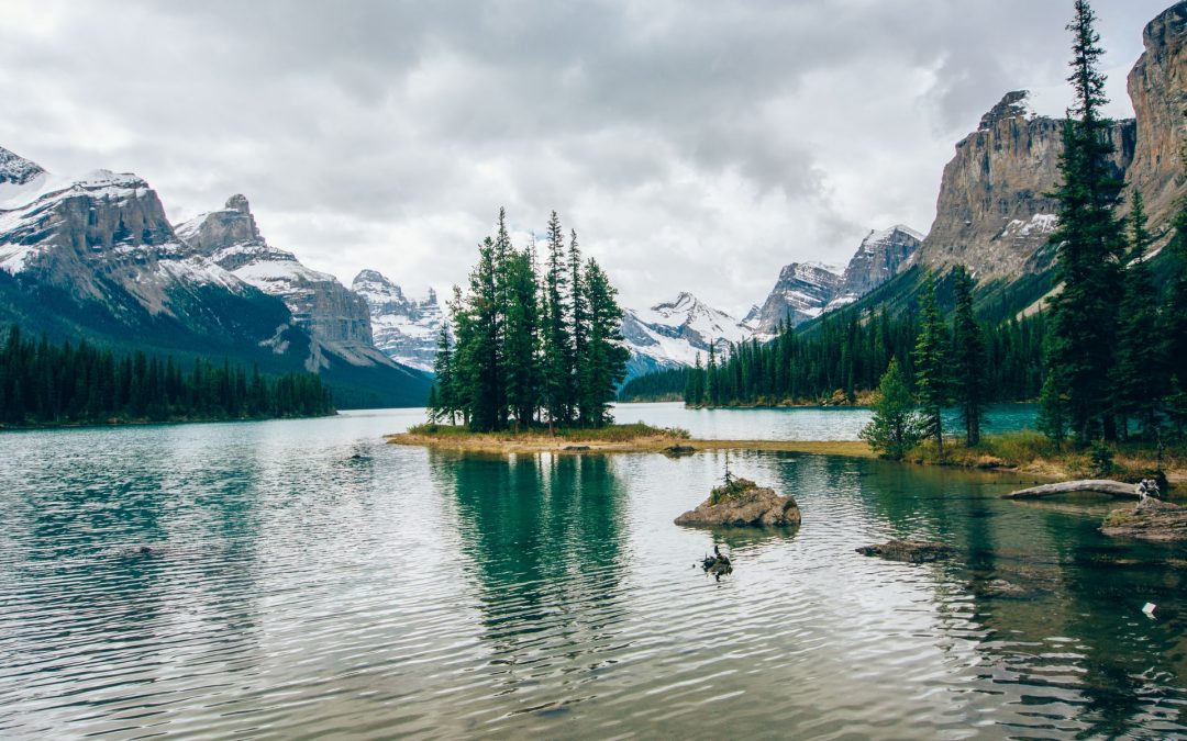 One Water: Understanding that all water has value