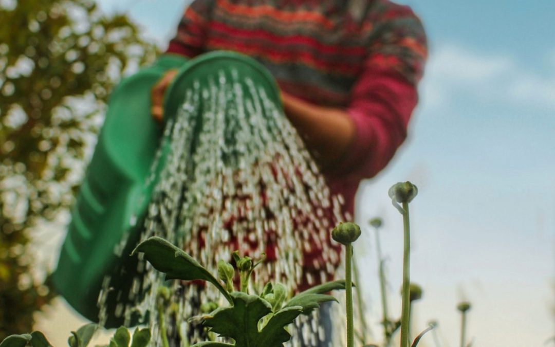 The pandemic has shown that we need more viral indicators