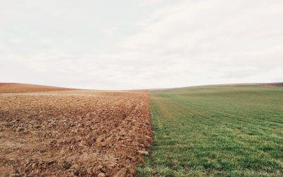 Adaptation measures to address water pollution from anthropogenic activities