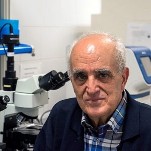 Fco_Lucena-300x300 Francisco Lucena