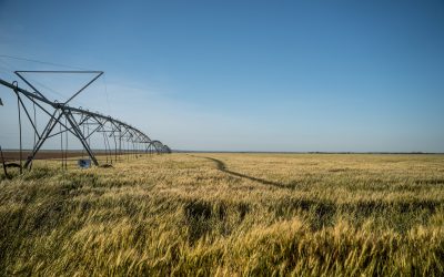 ¿Es necesario controlar los colifagos en el agua de la industria alimentaria?