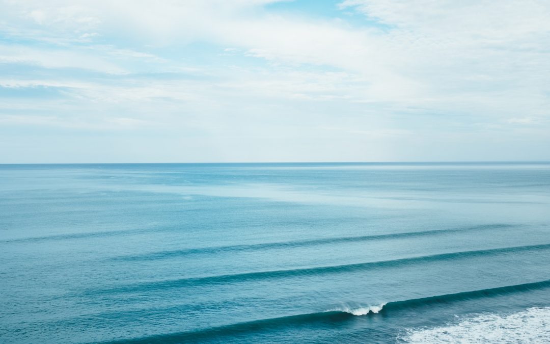 World Oceans Day: Shedding Light on Microbial Contamination and its Threat to Human Health